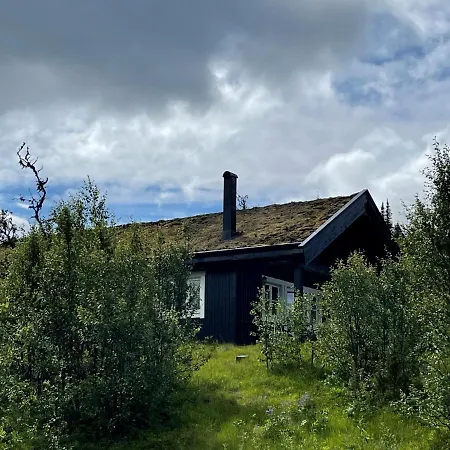 Linnaeus - 6 Person Ferienhaus