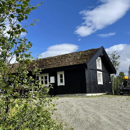 Linnaeus - 6 Person Ål