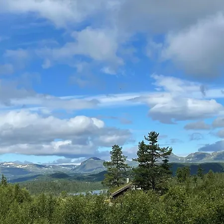 Ferienhaus Linnaeus - 6 Person