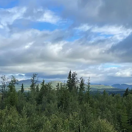 Linnaeus - 6 Person *