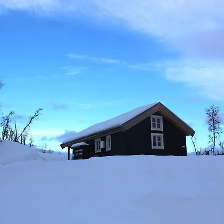 Linnaeus - 6 Person Ferienhaus